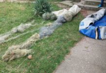 Pescuiau ilegal pe râul Olt