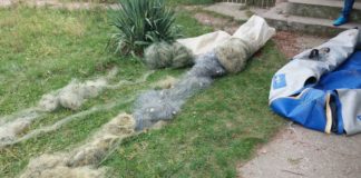 Pescuiau ilegal pe râul Olt