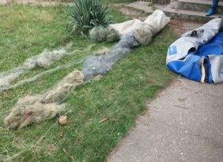 Pescuiau ilegal pe râul Olt