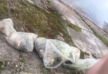 Prinși de jandarmi pescuind ilegal