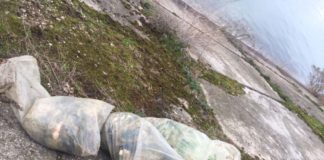 Prinși de jandarmi pescuind ilegal