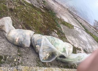 Braconier, prins în plasa legii