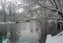 Concursul „Caracal Fotografia anului” şi-a desemnat câştigătorii