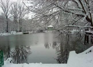 Concursul „Caracal Fotografia anului” şi-a desemnat câştigătorii