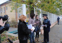 Olt: Acţiune pentru prevenirea violenţei domestice desfăşurată de autorităţi