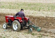 Arendaşii din Olt au devenit stat în stat