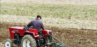 Arendaşii din Olt au devenit stat în stat