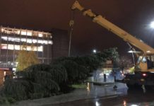 Bradul de Crăciun a ajuns la Slatina