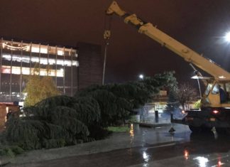 Bradul de Crăciun a ajuns la Slatina