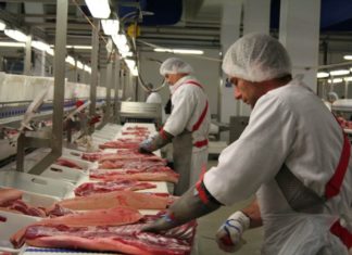 Numeroase nereguli descoperite de inspectorii DSVSA în județ