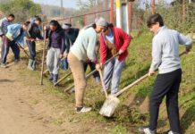 Primării din Olt cu sute de dosare de ajutoare sociale