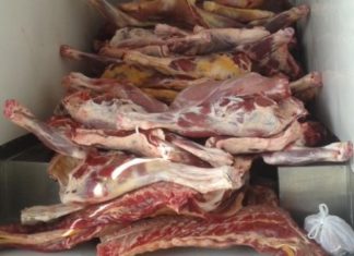 Prins de politiști transportând ilegal o tonă de carne