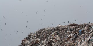 Garda de Mediu Olt a amendat cu 50.000 de lei operatorul care administrează fostul depozit industrial de deşeuri al SMR Balş