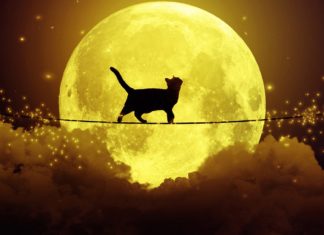 SUPERSTIȚIILE  ÎN  ORTODOXIE