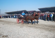 Botezul cailor, al vacilor şi turmelor de oi la Slătioara, Vâlcele, Nicolae Titulescu şi Ghimpeţeni