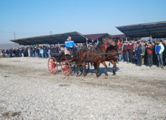 Botezul cailor, al vacilor şi turmelor de oi la Slătioara, Vâlcele, Nicolae Titulescu şi Ghimpeţeni