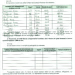 Declaratie avere_Page_3