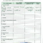 Declaratie avere_Page_5