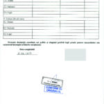 Declaratie avere_Page_6