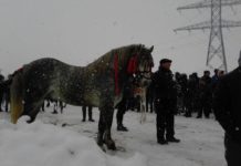 ”Botezul Cailor”, sâmbătă la Slătioara
