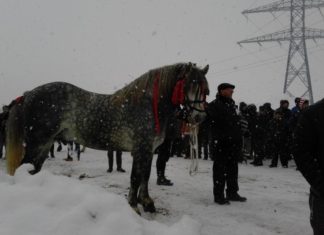 ”Botezul Cailor”, sâmbătă la Slătioara
