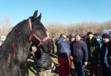 Peste 1500 de participanți la ”Botezul Cailor” din Slătioara