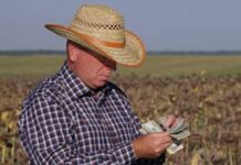 Fermierii olteni, ajutor în bani de la APIA