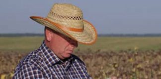 Fermierii olteni, ajutor în bani de la APIA