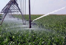 IRIGAȚIILE – O MARE NECUNOSCUTĂ PENTRU FERMIERII OLTENI: „PENTRU FILIALA NOASTRĂ, NE-AR TREBUI APROAPE 500 MILIOANE DE EURO …”