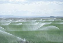 Programul Național de Irigații prevede reabilitarea a peste 2 milioane de hectare din 88 de amenajări