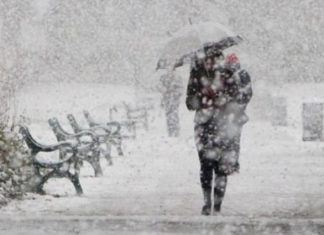 Cod Galben de ninsoare în OLT