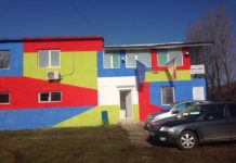 Câinii de la Sărăcești, în așteptarea stăpânilor