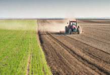 STRĂINII NE-AU LUAT TOT NORDUL JUDEȚULUI… !