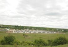 Cetățenii din Negreni au câștigat prima luptă cu ,,Premium Porc Negreni’’ SRL