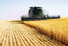 Ordonanța trădării naționale. Cum ne-au obligat americanii să ne distrugem agricultura