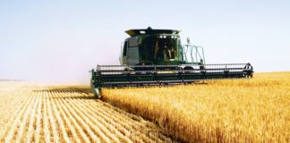 CEI MAI BOGAȚI FERMIERI DIN OLT. CINE SUNT ACEȘTIA