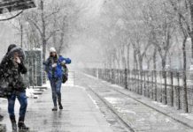 Autoritățile locale din nou în luptă cu iadul alb