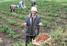 Oltul, pe primele locuri în țară la numărul de contracte de muncă obținute în străinătate