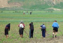 Legislația privind activitatea zilierilor a fost modificată. Ce trebuie să știe patronii din Olt care folosesc zilieri