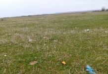 Scandal pe pășunile de la Piatra Olt