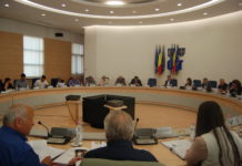 Consilierii județeni au aprobat documentația tehnico – economică pentru asfaltarea unui drum