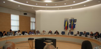 Consilierii județeni au aprobat documentația tehnico – economică pentru asfaltarea unui drum