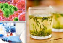 Singurul ceai care distruge celulele canceroase în 48 de ore. Uite cum se prepară