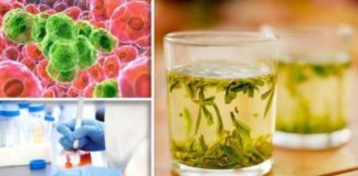 Singurul ceai care distruge celulele canceroase în 48 de ore. Uite cum se prepară