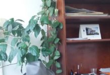 Revoltător: Mii de oameni din Olt, în imposibilitate de a primi pensie