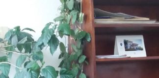 Revoltător: Mii de oameni din Olt, în imposibilitate de a primi pensie