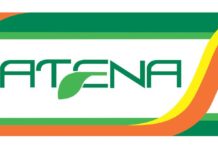 Alo, CATENA, mai ușor cu… laudele!