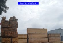Sute de metri cubi de material lemnos, fără documente de proveniență, confiscați de polițiștii olteni