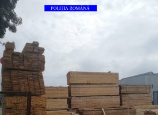 Material lemnos, confiscat de polițiștii din Olt