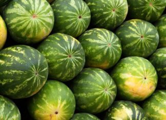 Dieta DELICIOASĂ cu pepene verde. Câte kilograme poți să slăbești într-o săptămână